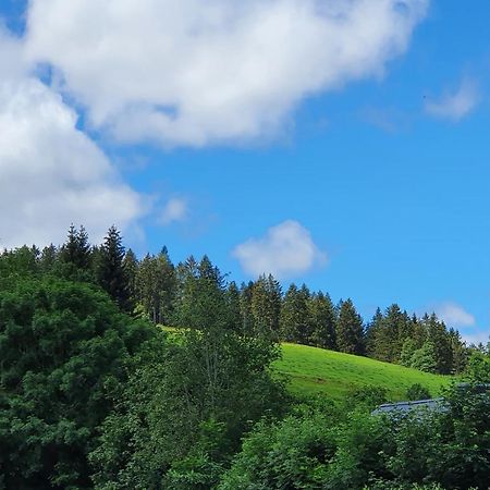 Ferienwohnung Hitz Hinterzarten Buitenkant foto