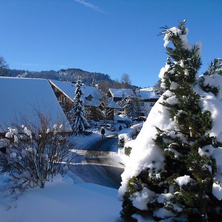 Ferienwohnung Hitz Hinterzarten Buitenkant foto