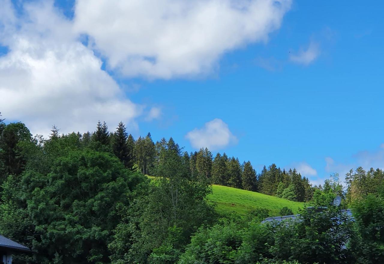 Ferienwohnung Hitz Hinterzarten Buitenkant foto