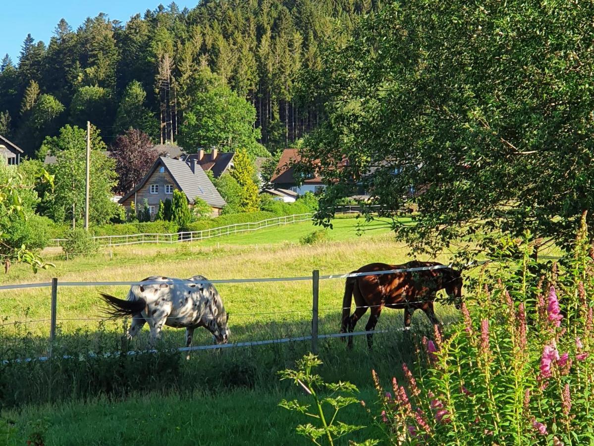 Ferienwohnung Hitz Hinterzarten Buitenkant foto